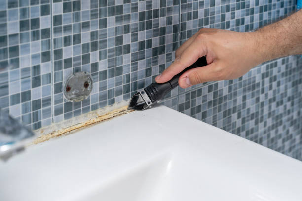 Best Affordable Mold Removal  in Westmont, CA